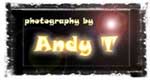 Photography by Andy T